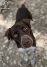 Coko